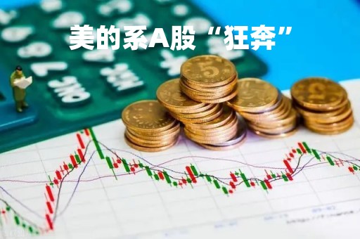 美的系A股“狂奔”