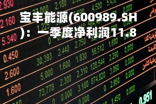 宝丰能源(600989.SH)：一季度净利润11.85亿元