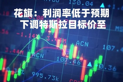 花旗：利润率低于预期 下调特斯拉目标价至175美元