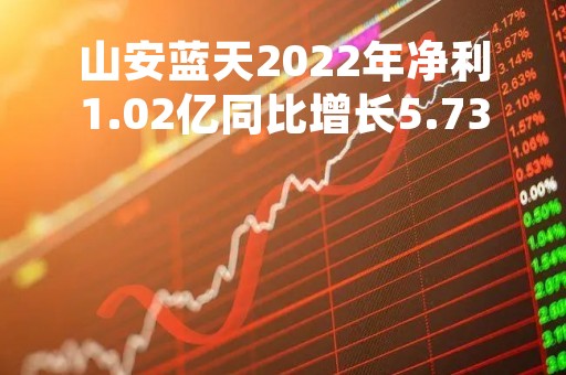 山安蓝天2022年净利1.02亿同比增长5.73%运营期项目成本费用减少