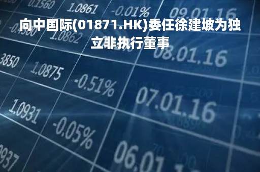 向中国际(01871.HK)委任徐建坡为独立非执行董事