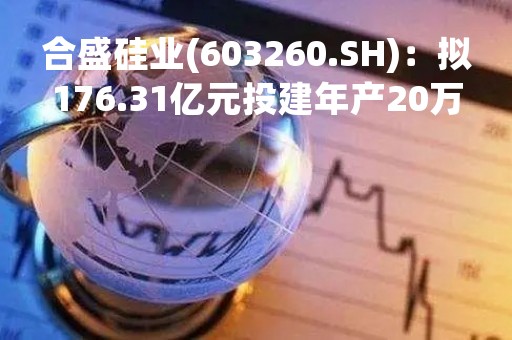 合盛硅业(603260.SH):拟176.31亿元投建年产20万吨高纯晶硅项目 合盛硅业(603260.SH):拟176.31亿元投建年产20万吨高纯晶硅项目