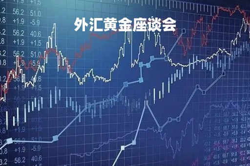 外汇黄金座谈会「外汇黄金交流」