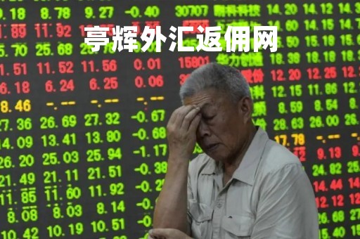 亭辉外汇返佣网「亭辉外汇返佣网址」