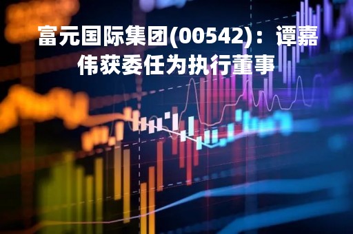 富元国际集团(00542)：谭嘉伟获委任为执行董事