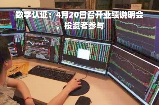 数字认证：4月20日召开业绩说明会，投资者参与