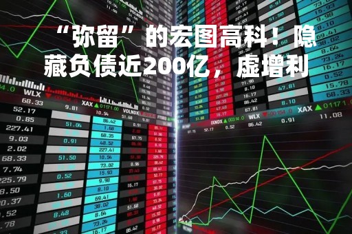 “弥留”的宏图高科！隐藏负债近200亿，虚增利润8亿