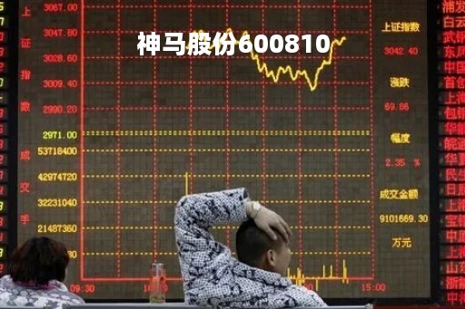 神马股份600810