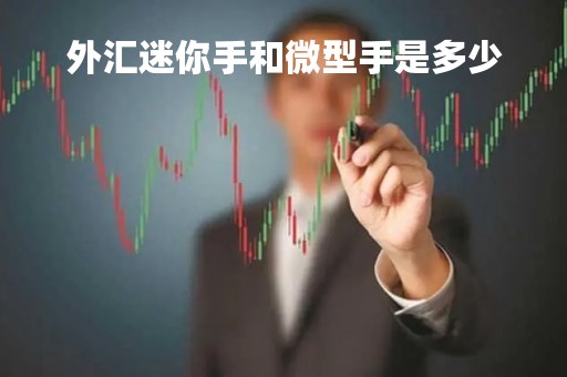 外汇迷你手和微型手是多少「迷你账户外汇平台」