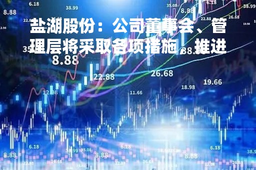 盐湖股份：公司董事会、管理层将采取各项措施，推进公司可持续发展并充分维护广大投资者利益