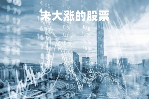 未大涨的股票「股票未涨板块」