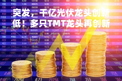 突发，千亿光伏龙头创新低！多只TMT龙头再创新高，这些优质股低位低估值（附股）