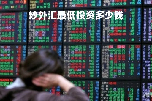 炒外汇最低投资多少钱「炒外汇最低投入多少钱」