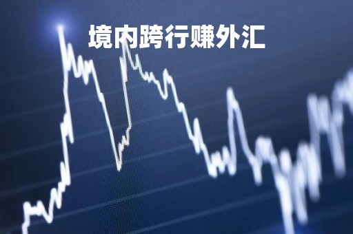 境内跨行赚外汇「国内跨行外汇转账手续费」