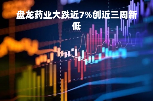 盘龙药业大跌近7%创近三周新低