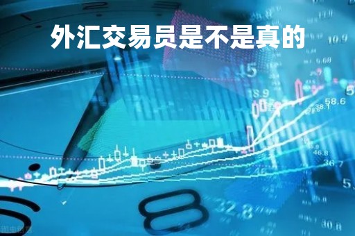 外汇交易员是不是真的「外汇交易员是不是真的假的呀」