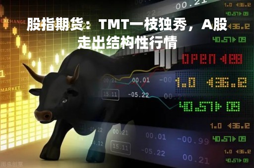 股指期货：TMT一枝独秀，A股走出结构性行情
