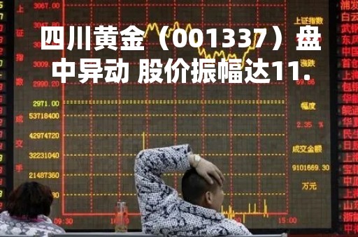 四川黄金（001337）盘中异动 股价振幅达11.09%  上涨7.69%（04-21）