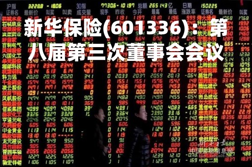 新华保险(601336)：第八届第三次董事会会议决议，审议《关于分红业务2022年度红利分配方案的议案》
