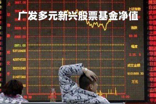 广发多元新兴股票基金净值「广发多元新兴股票基金净值查询」