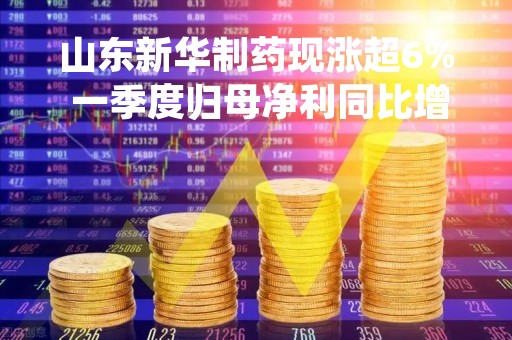 山东新华制药现涨超6% 一季度归母净利同比增加39.72%