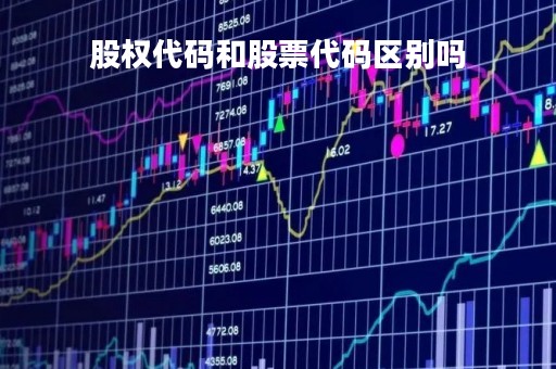 股权代码和股票代码区别吗「什么叫股权代码」