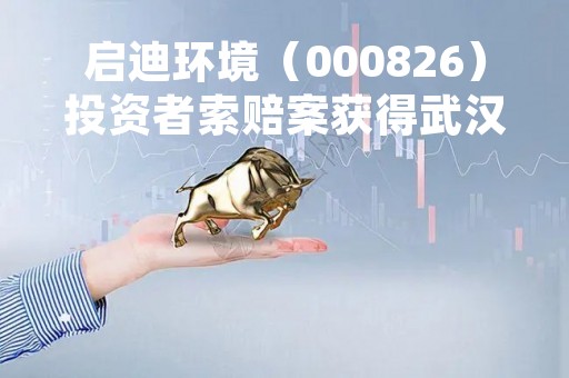 启迪环境（000826）投资者索赔案获得武汉中院立案