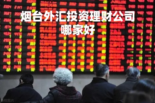 烟台外汇投资理财公司哪家好「国家外汇管理局烟台市中心支局电话」