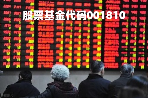 股票基金代码001810「股票基金代码记录」
