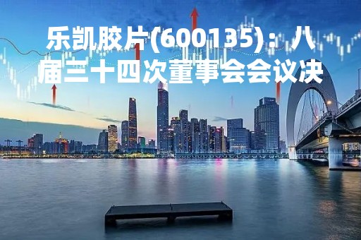 乐凯胶片(600135)：八届三十四次董事会会议决议，审议6项议案获通过