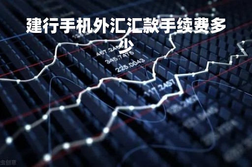 建行手机外汇汇款手续费多少「建行手机银行境外汇款多长时间到账」