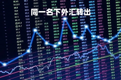 同一名下外汇转出「同银行转外汇」