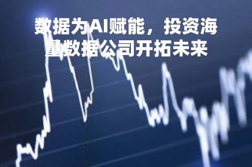 数据为AI赋能，投资海量数据公司开拓未来