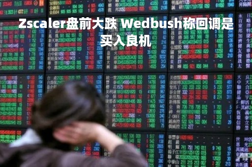 Zscaler盘前大跌 Wedbush称回调是买入良机