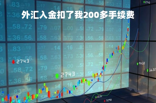 外汇入金扣了我200多手续费「外汇入金多少合适」