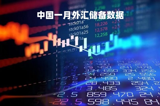 中国一月外汇储备数据「一月末我国外汇储备32107亿美元」