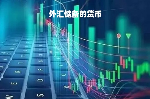外汇储备的货币「外汇储备货币占比」