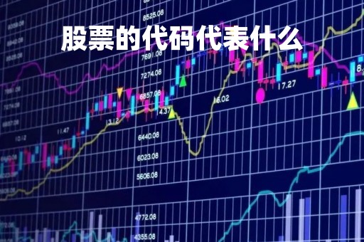 股票的代码代表什么「股票的代码代表什么」