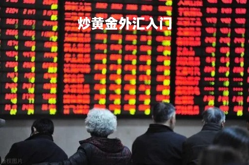 炒黄金外汇入门「炒外汇黄金技术」