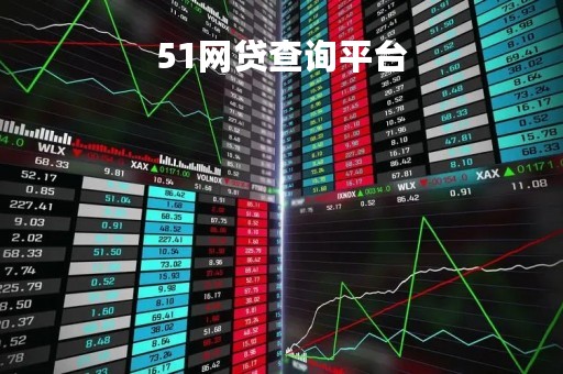 51网贷查询平台