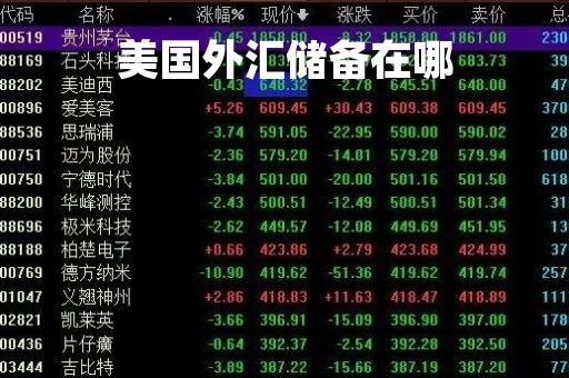 美国外汇储备在哪「2021年美国外汇储备」