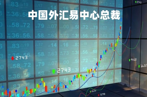 中国外汇易中心总裁「中国外汇交易中心 总裁」