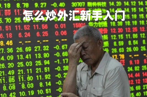怎么炒外汇新手入门「炒外汇是怎么操作的」