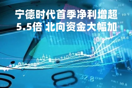 宁德时代首季净利增超5.5倍 北向资金大幅加仓