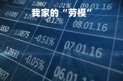 我家的“劳模”