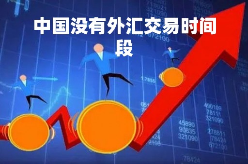 中国没有外汇交易时间段「中国缺外汇吗」