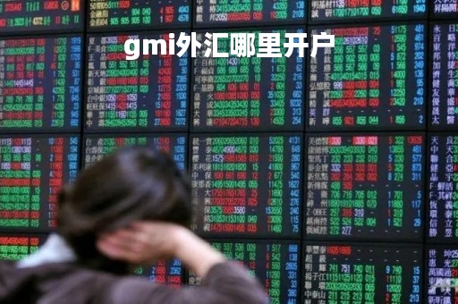 gmi外汇哪里开户「gmi外汇官网开户」