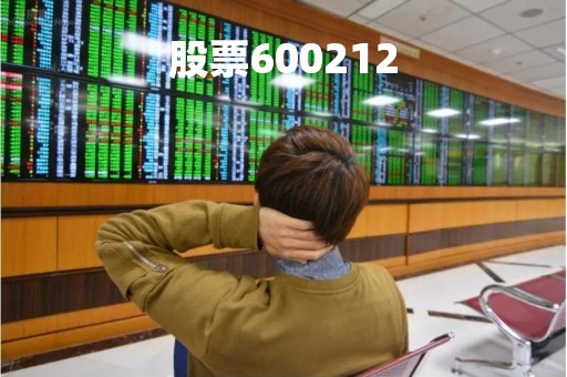 股票600212