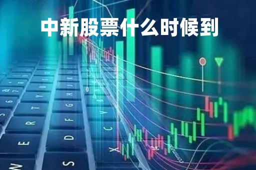 中新股票什么时候到「中新股啥时候上市」