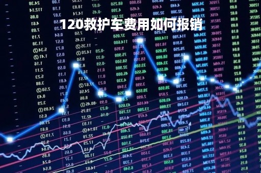 120救护车费用如何报销